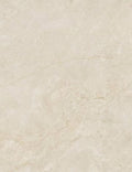 Fornax Beige 24"x48" Matte Rectified Porcelain Tile