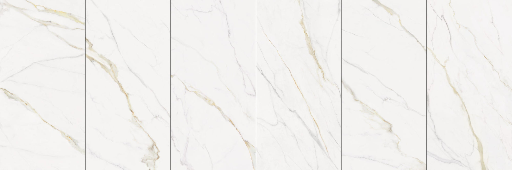 Calacatta Gold 24"x48" Glossy - $1.99/SQFT - 16 SQFT/Box