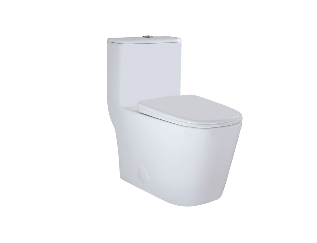 MJ5019-One Piece Toilet Elongated Floor Mounted